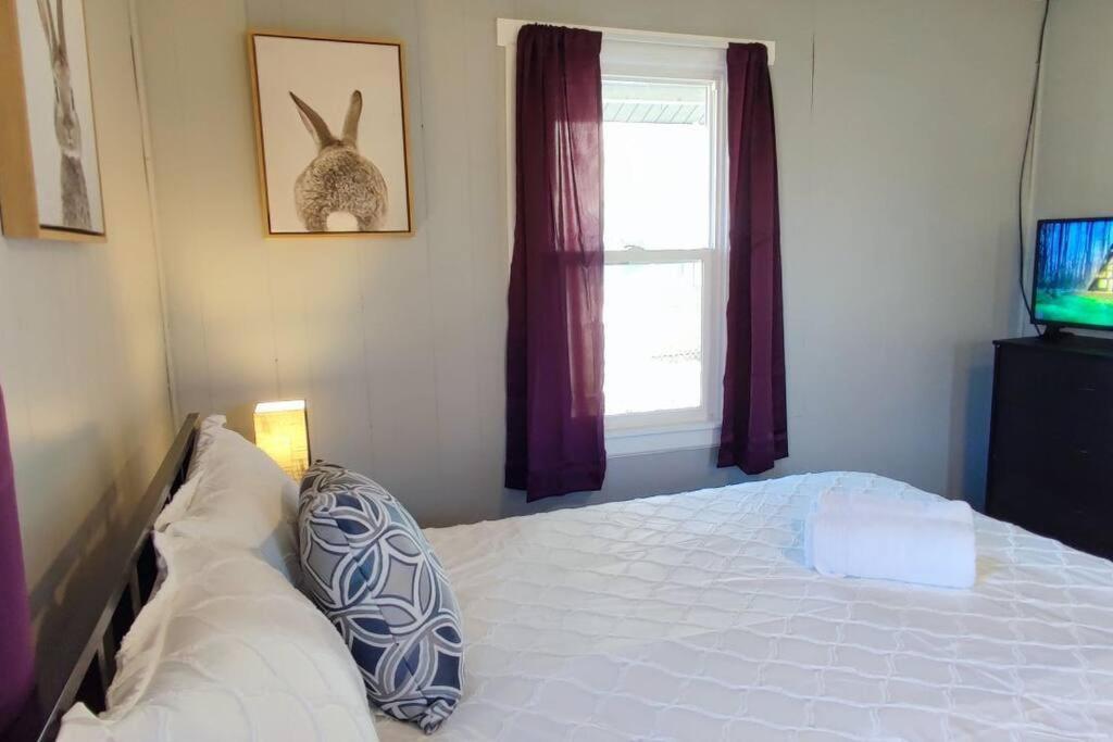 Perfect Combo Of Charm & Comfort- 2Bedroom Home 诺布尔斯维尔 外观 照片